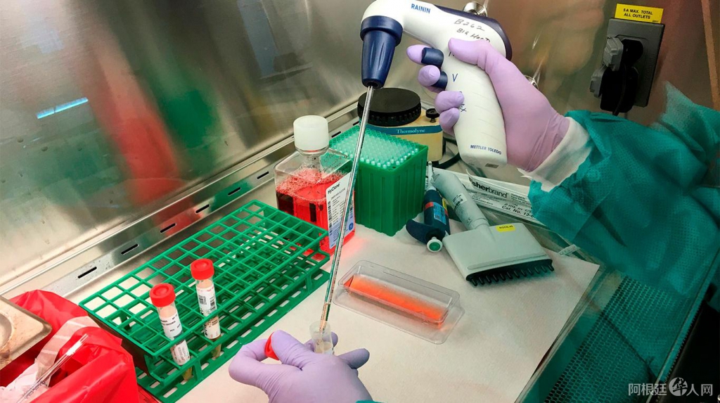 coronavirus-ap coronavirus-ap