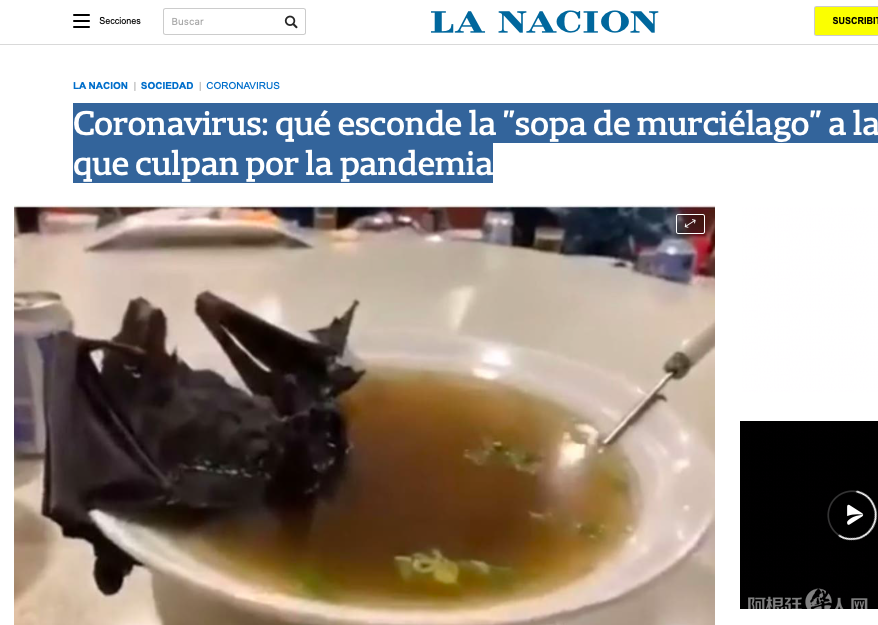 屏幕快照 2020-04-03 上午5.51.19