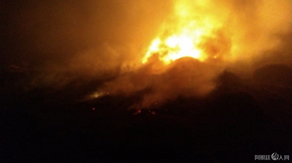 0037633295 0037633295