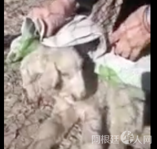 屏幕快照 2020-06-02 上午1.46.48