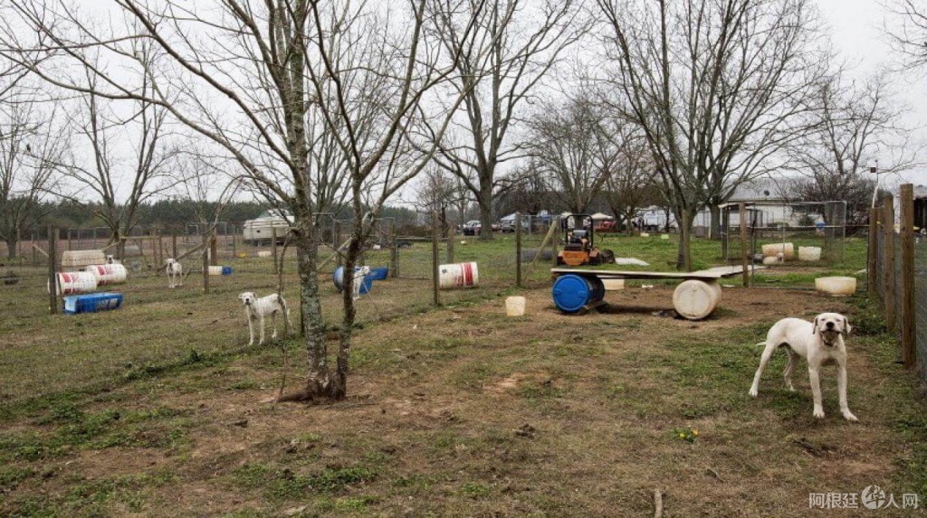 whatsapp_image_2020-07-01_at_9.52.13_am