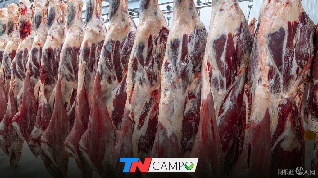 portadacarne portadacarne