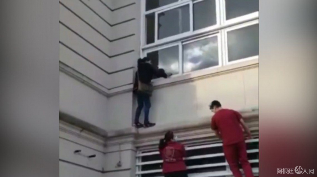 0037826334 0037826334