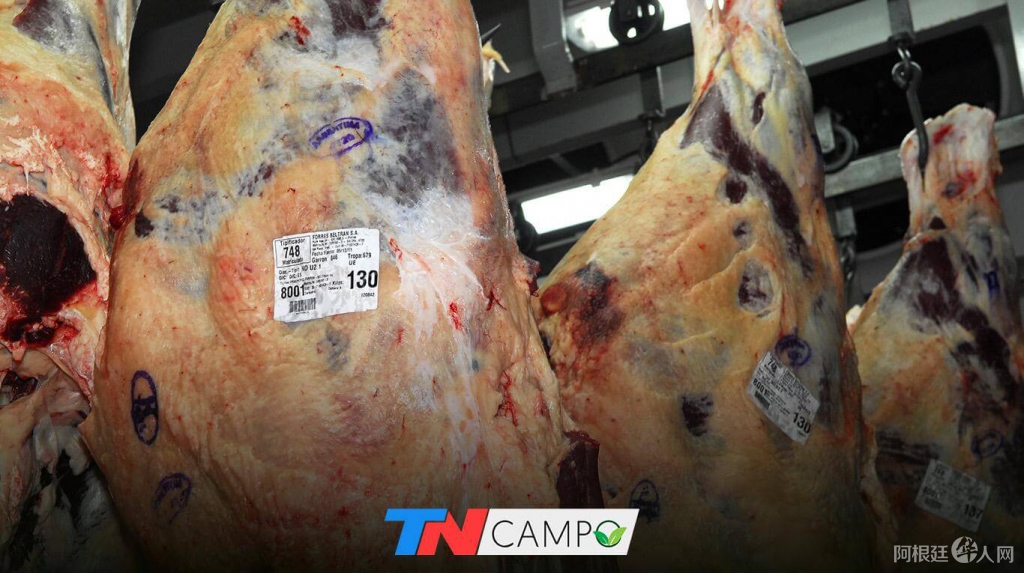 exportacioncarne exportacioncarne