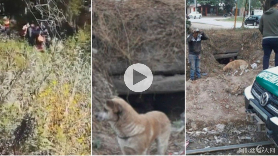 屏幕快照 2020-07-16 上午1.28.47 屏幕快照 2020-07-16 上午1.28.47