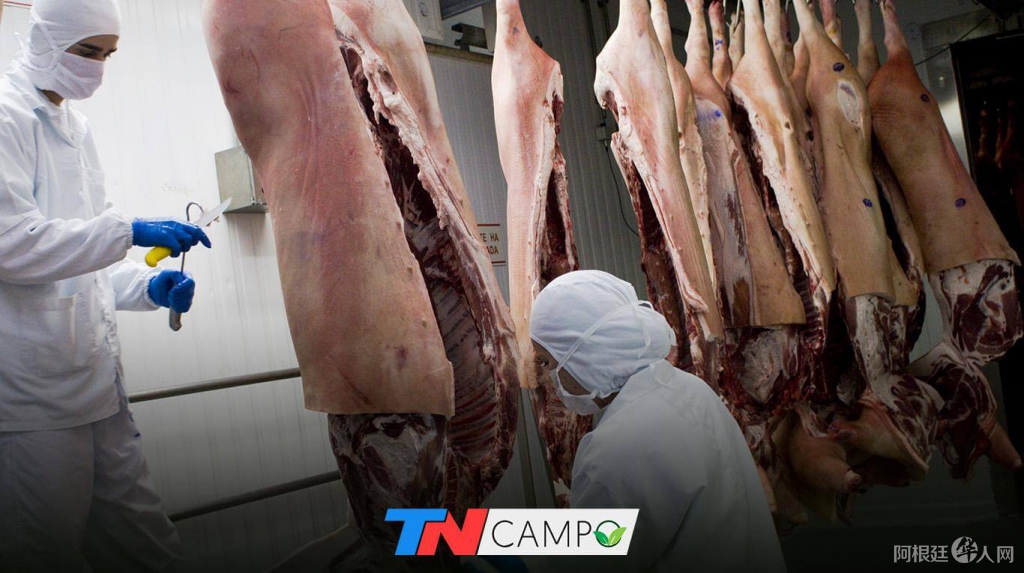 portadacarnecovid portadacarnecovid