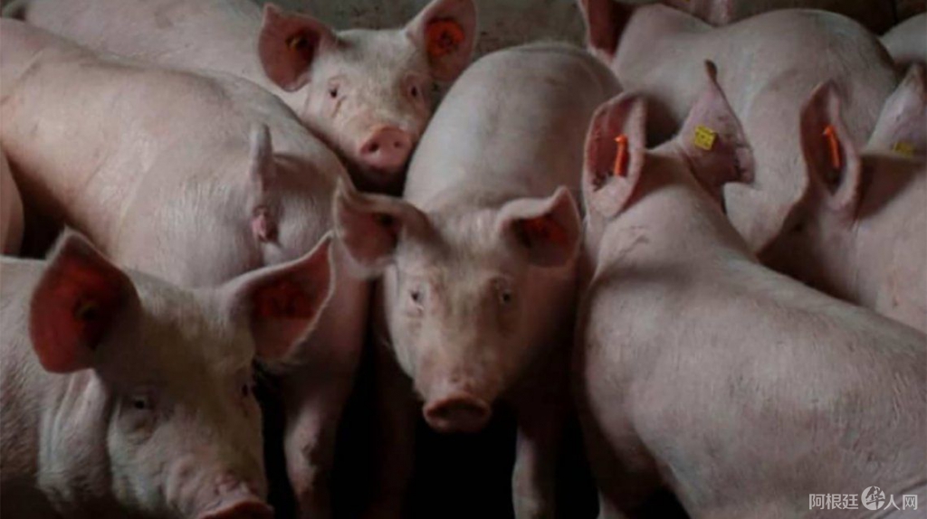 0038010071.png 0038010071.png