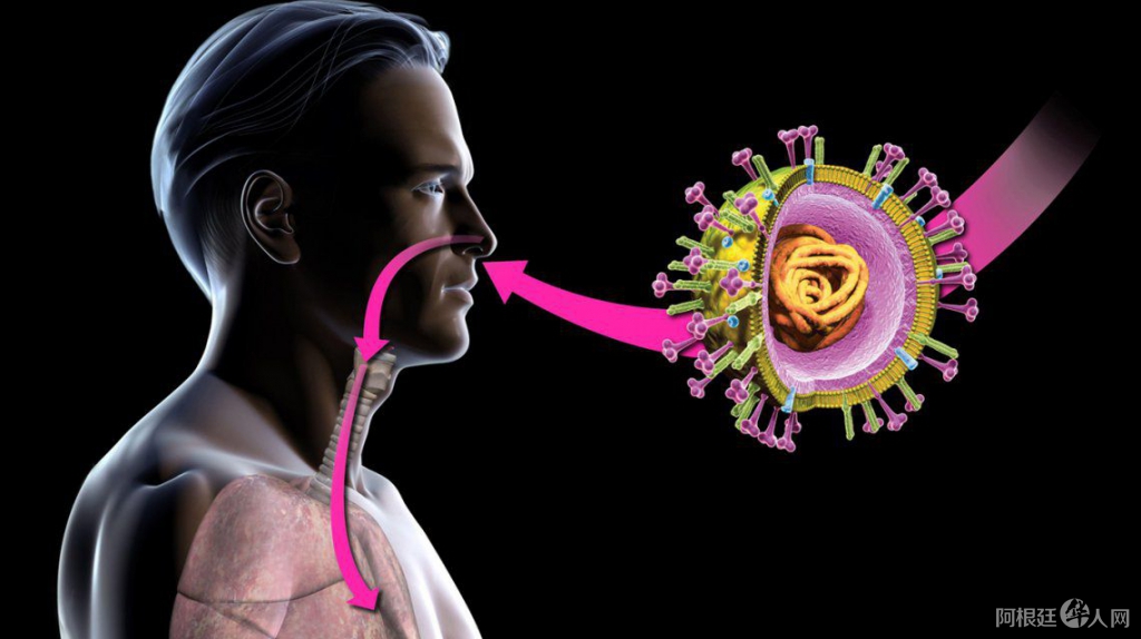 冠状病毒 冠状病毒