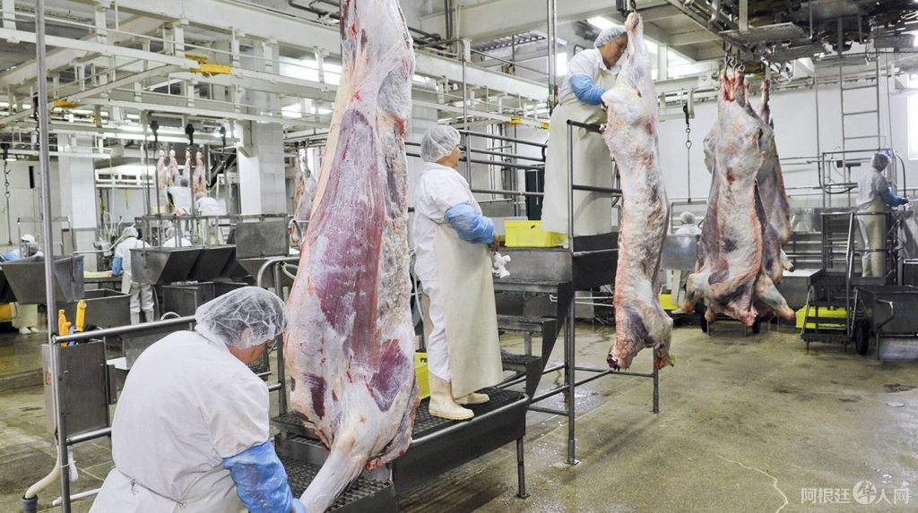 ZCTEC2AYD5A75ED7HIBJSB2AXI ZCTEC2AYD5A75ED7HIBJSB2AXI