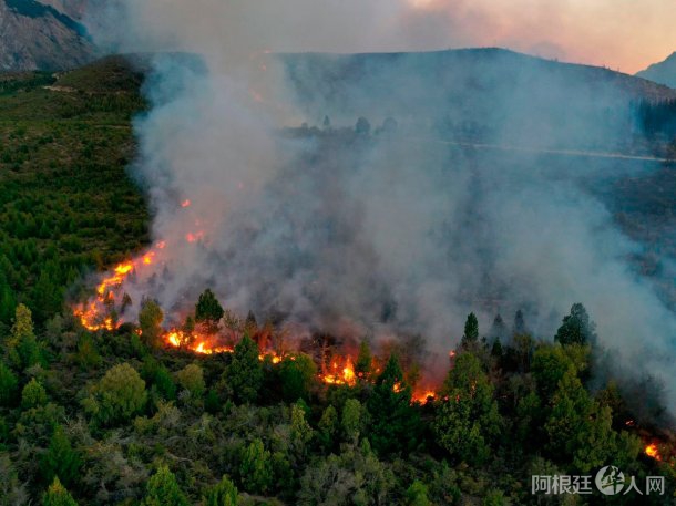 incendios-forestales-el-bolson (2)