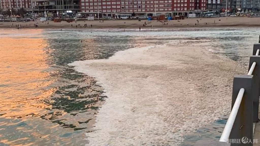 macha-agua-playa-mar-del-plata (1) macha-agua-playa-mar-del-plata (1)