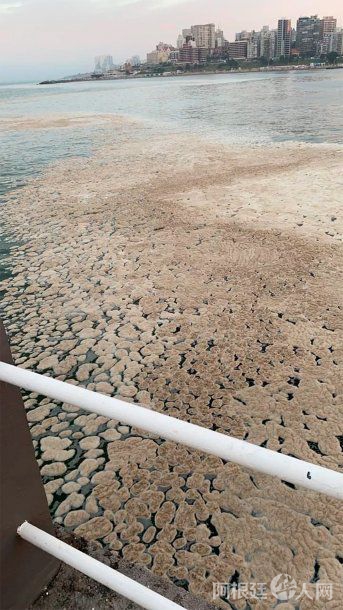 macha-agua-playa-mar-del-plata macha-agua-playa-mar-del-plata