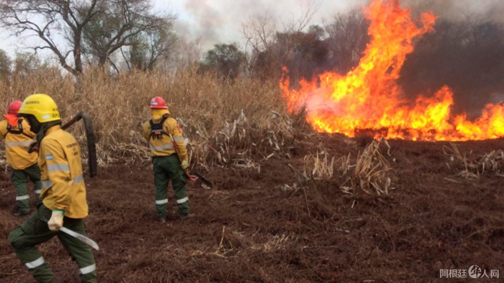 incendio-forestal-el-bolson incendio-forestal-el-bolson