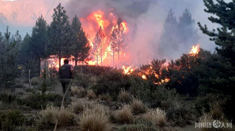 QUD6D4GYGNFERJRDRJ77GLL7T4