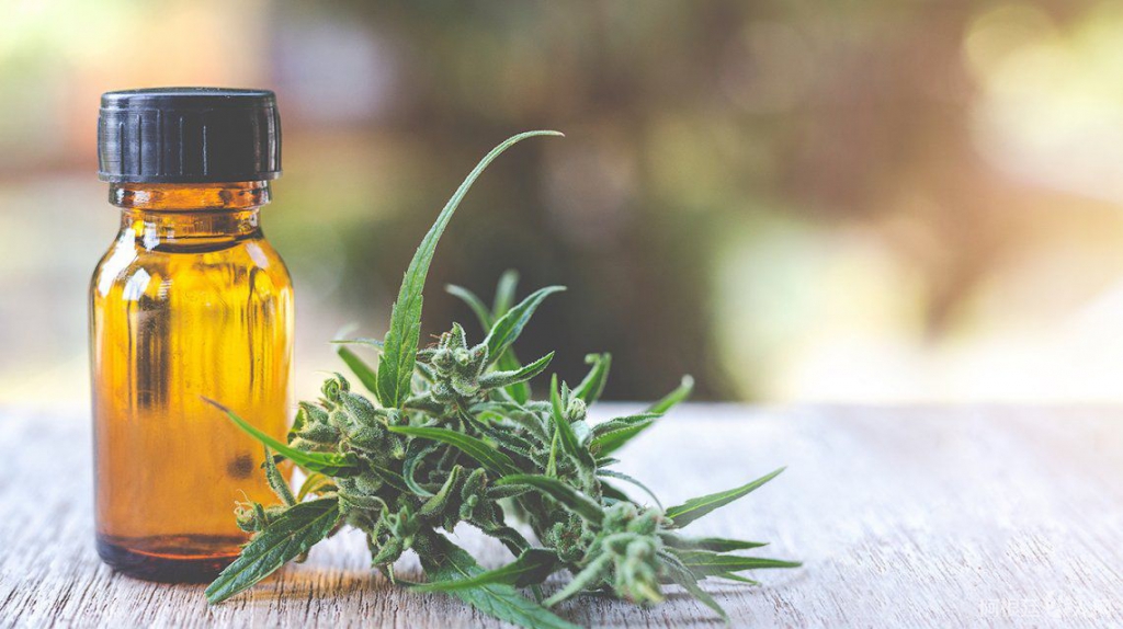 aceite-cannabis