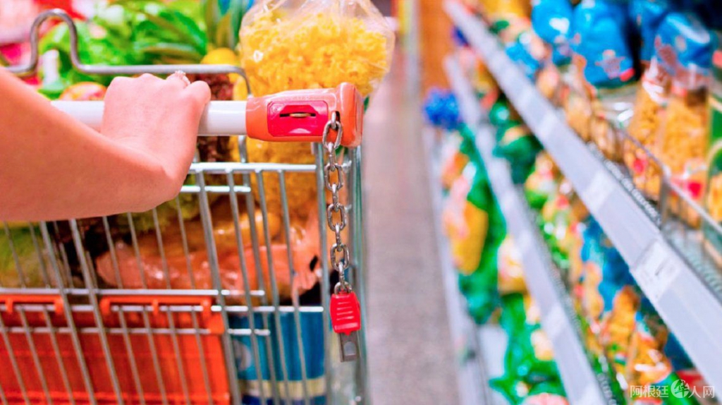 canasta-basicajpg canasta-basicajpg