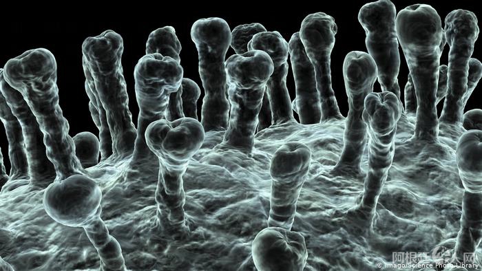 52131498_401 52131498_401