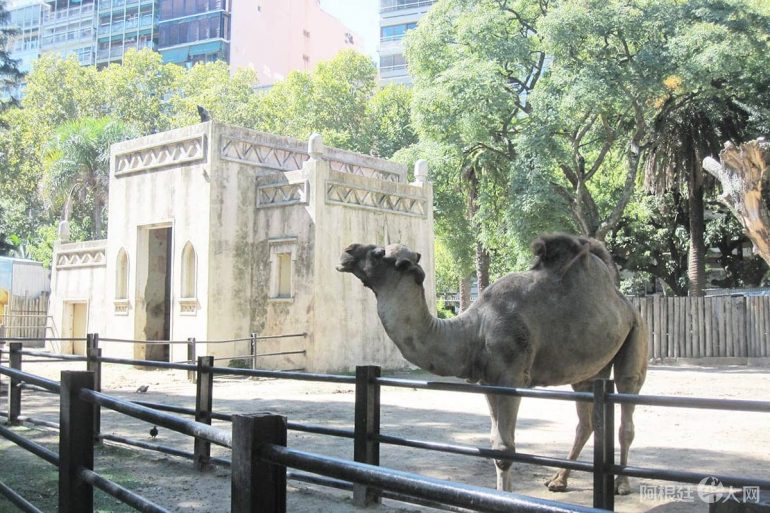 Zoologico-de-Buenos-Aires-cierre-770x513