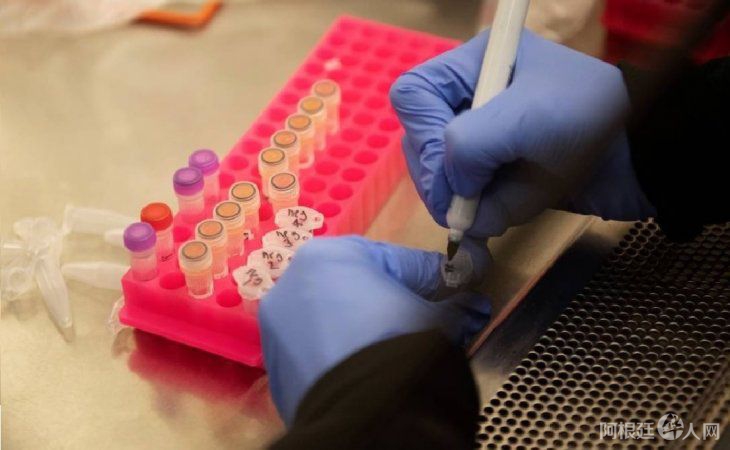 ya-habian-detectado-casos-dicha-cepa-cordoba-pero-muestras-viajeros ya-habian-detectado-casos-dicha-cepa-cordoba-pero-muestras-viajeros