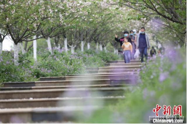 503d269759ee3d6df90fb98a706d272a4e4ade2d 503d269759ee3d6df90fb98a706d272a4e4ade2d