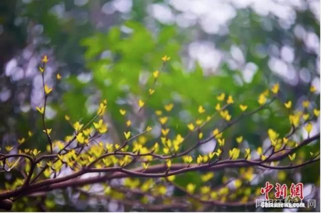 8644ebf81a4c510fea05437e5c226f25d52aa510 8644ebf81a4c510fea05437e5c226f25d52aa510