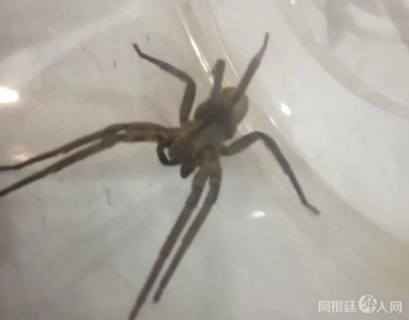 foto-gentileza-0223 foto-gentileza-0223