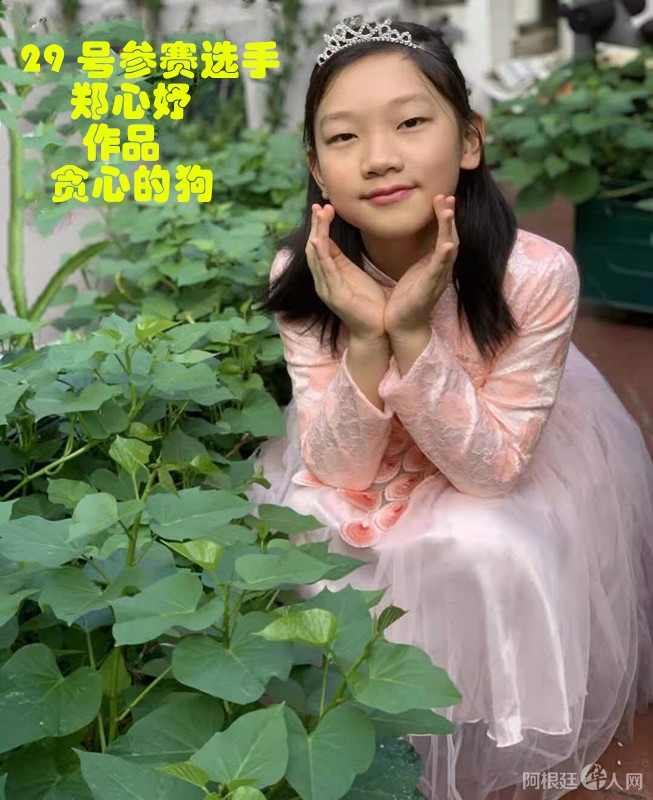 照片,29 号参赛选手郑心妤 , 朗诵—-贪心的狗_副本