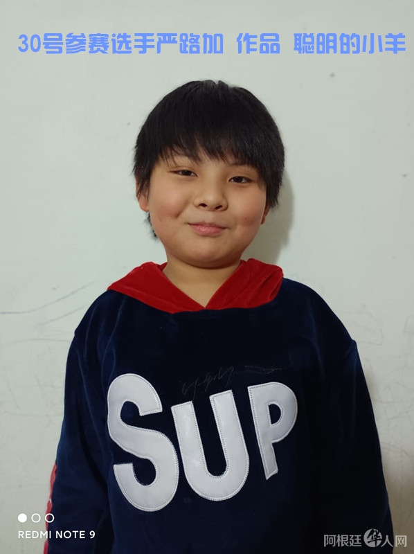 照片,30号参赛选手严路加 作品 美人鱼_副本