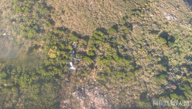 截屏2021-08-22 下午11 截屏2021-08-22 下午11