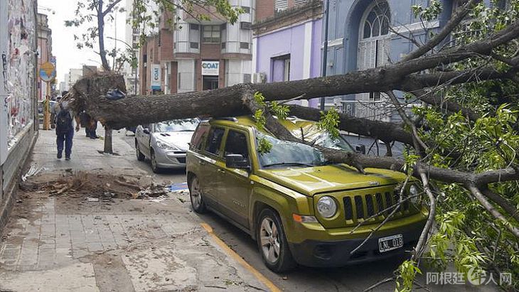 temporal-viento-arboles-caidosjpg temporal-viento-arboles-caidosjpg