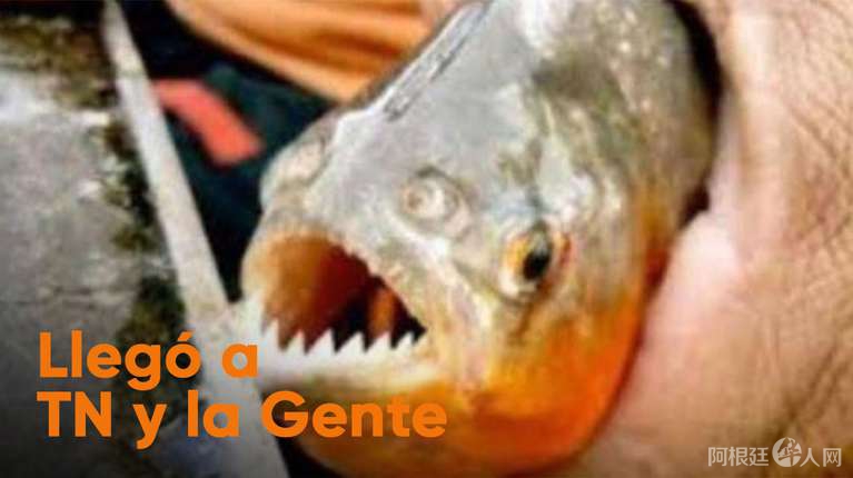 CX56KXSVQZDRFBH2AWE2UWITQU