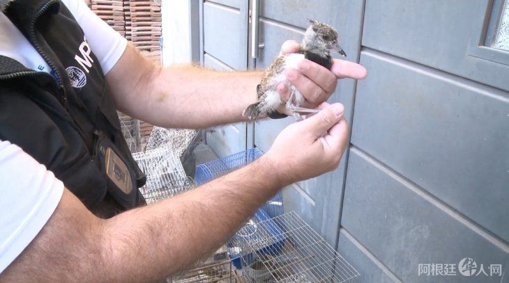 aves-rescatadas-2jpg aves-rescatadas-2jpg