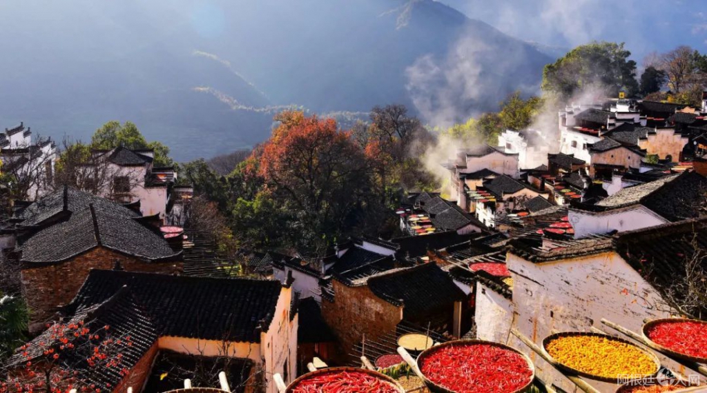 微信图片_20220311152521