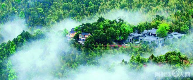 微信图片_20220311152758