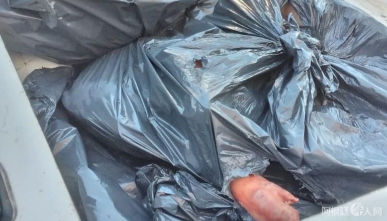 1647530560151 1647530560151