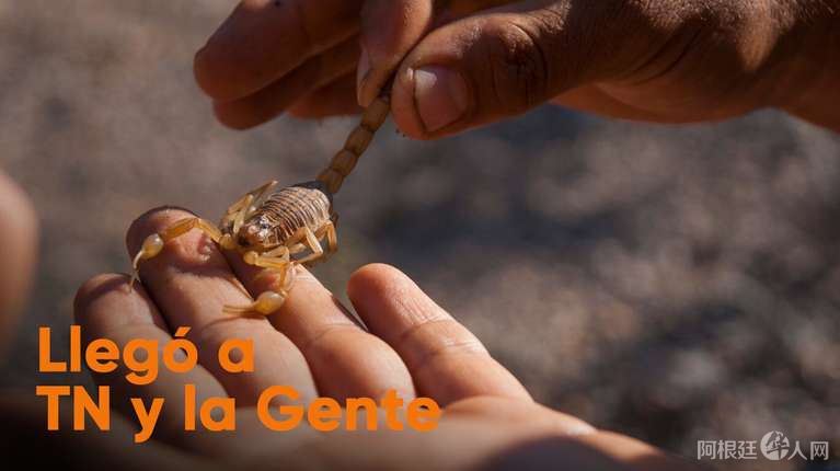 OTFINE4WSVDYPJTRT3V34G4B54 OTFINE4WSVDYPJTRT3V34G4B54