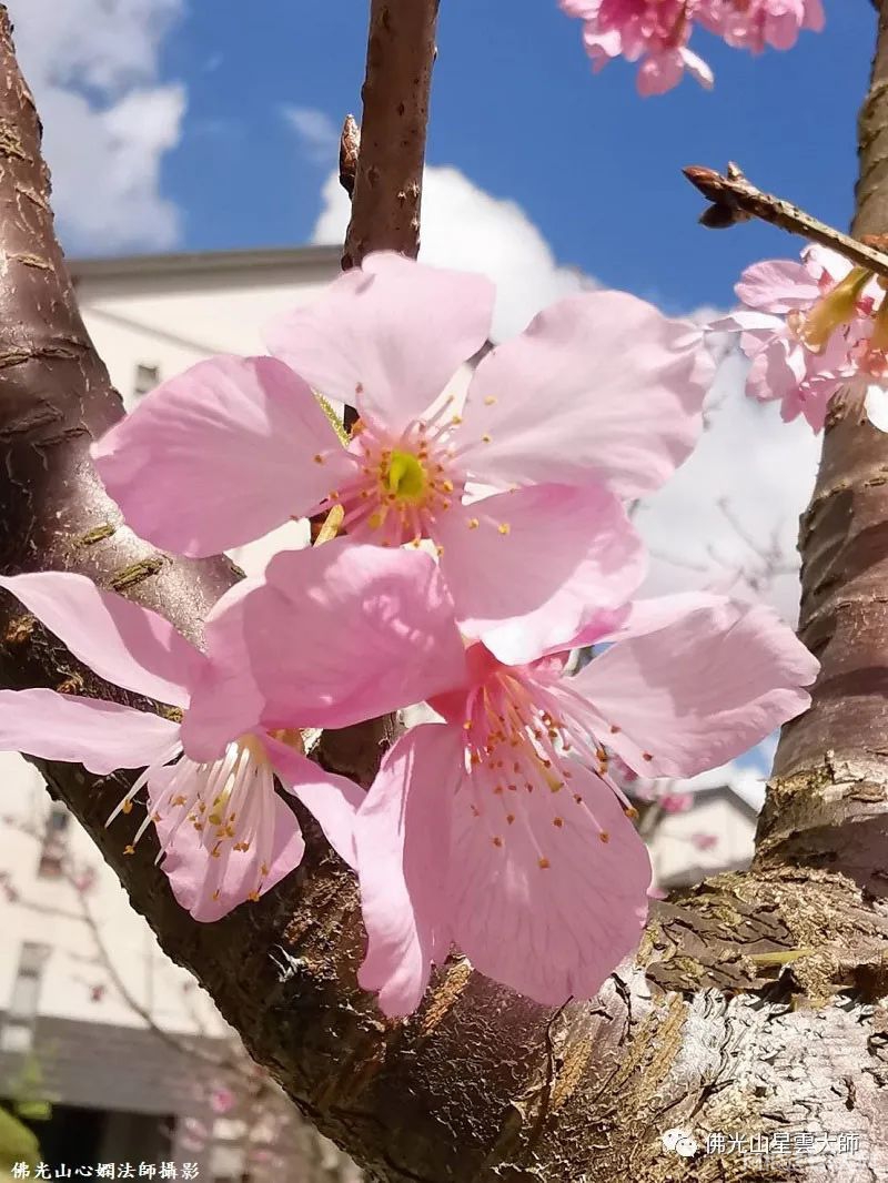 微信图片_20220328170427