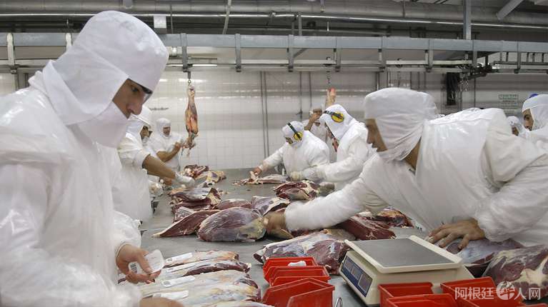 IV5VVBLYEVB73DY5332LCUPRO4 IV5VVBLYEVB73DY5332LCUPRO4