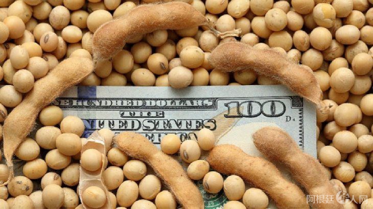 dolares-sojajpg dolares-sojajpg