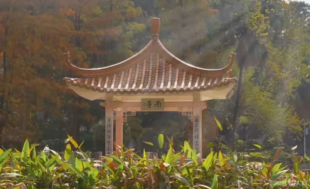 微信图片_20220419222725 微信图片_20220419222725