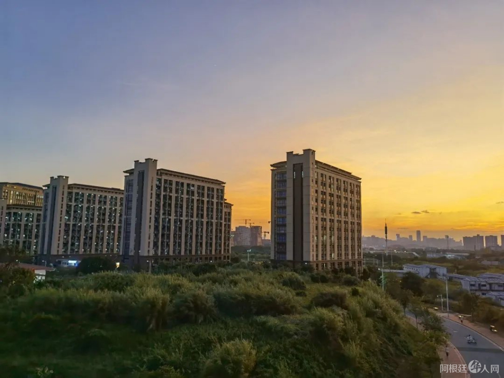 微信图片_20220419222744 微信图片_20220419222744