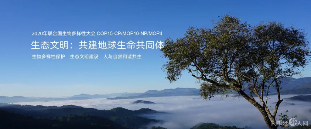 微信图片_20220607154750