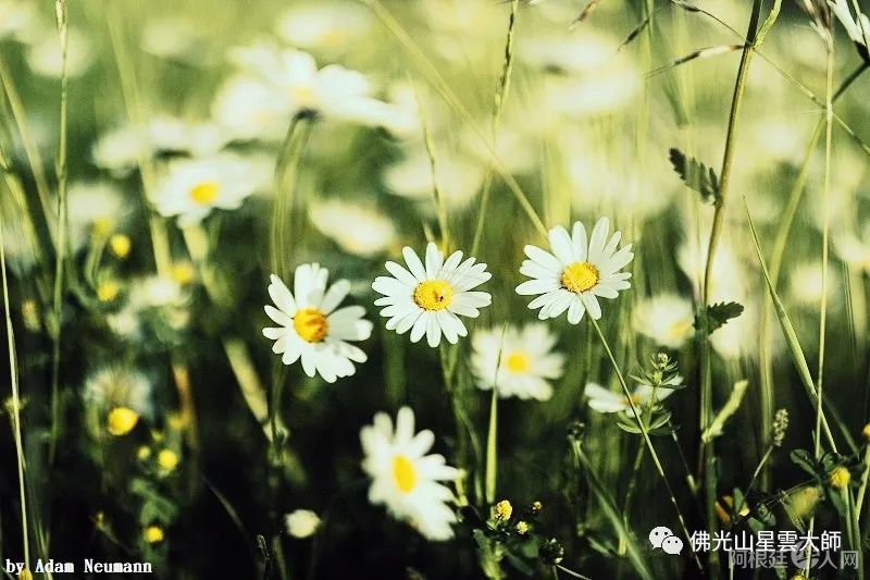 微信图片_20220620150131