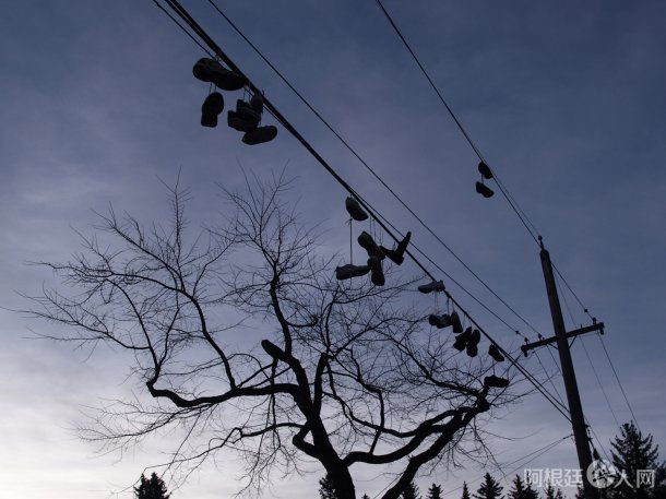 zapatillas-colgadas-los-cables zapatillas-colgadas-los-cables