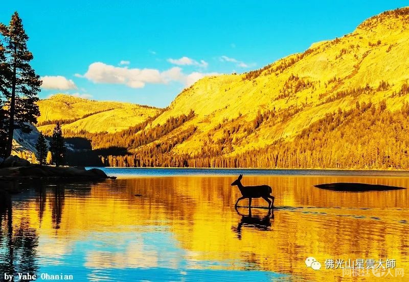 微信图片_20221203113341