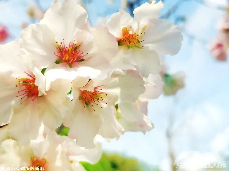 图片_20230407214736