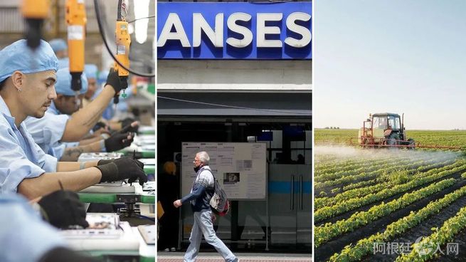 trabajadores-jubilados-campojpg trabajadores-jubilados-campojpg