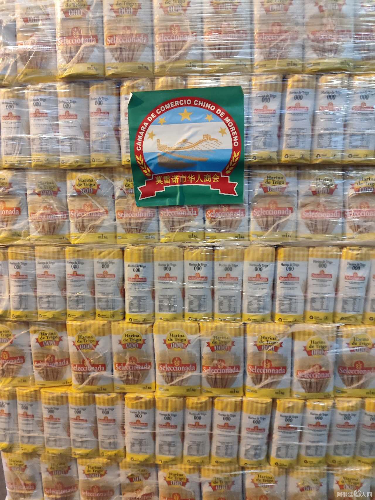 图片_20240703163215