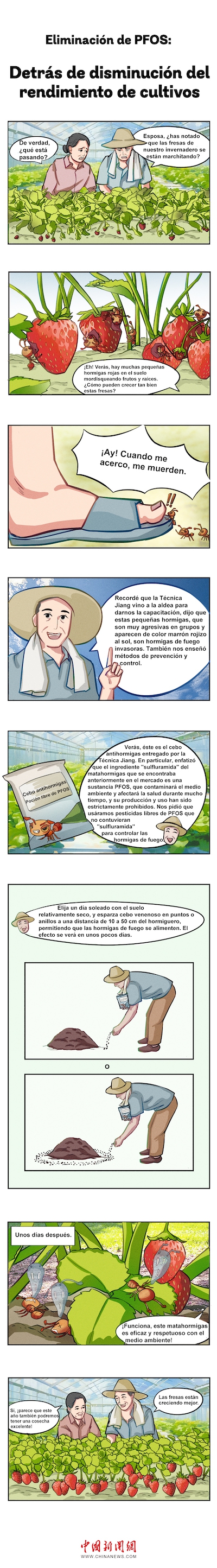 6-第二期第2张-西语