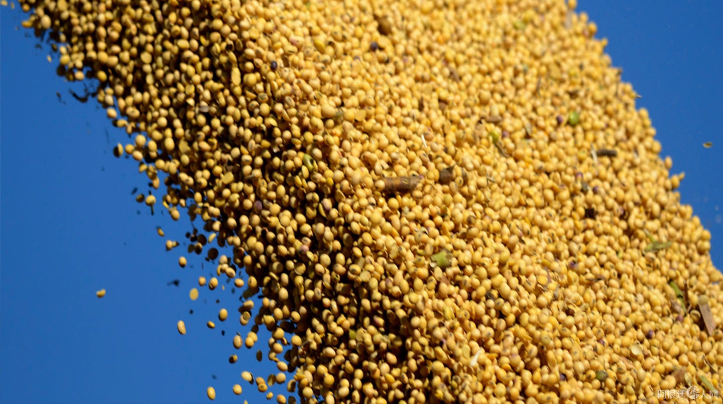 -dolar-oficial-hoy-y-dolar-blue-a-cuanto-cotizaron-este-viernes-28-de-noviembre-5GCCWOOEXFFM3MTP7NBW2GXIUI -dolar-oficial-hoy-y-dolar-blue-a-cuanto-cotizaron-este-viernes-28-de-noviembre-5GCCWOOEXFFM3MTP7NBW2GXIUI